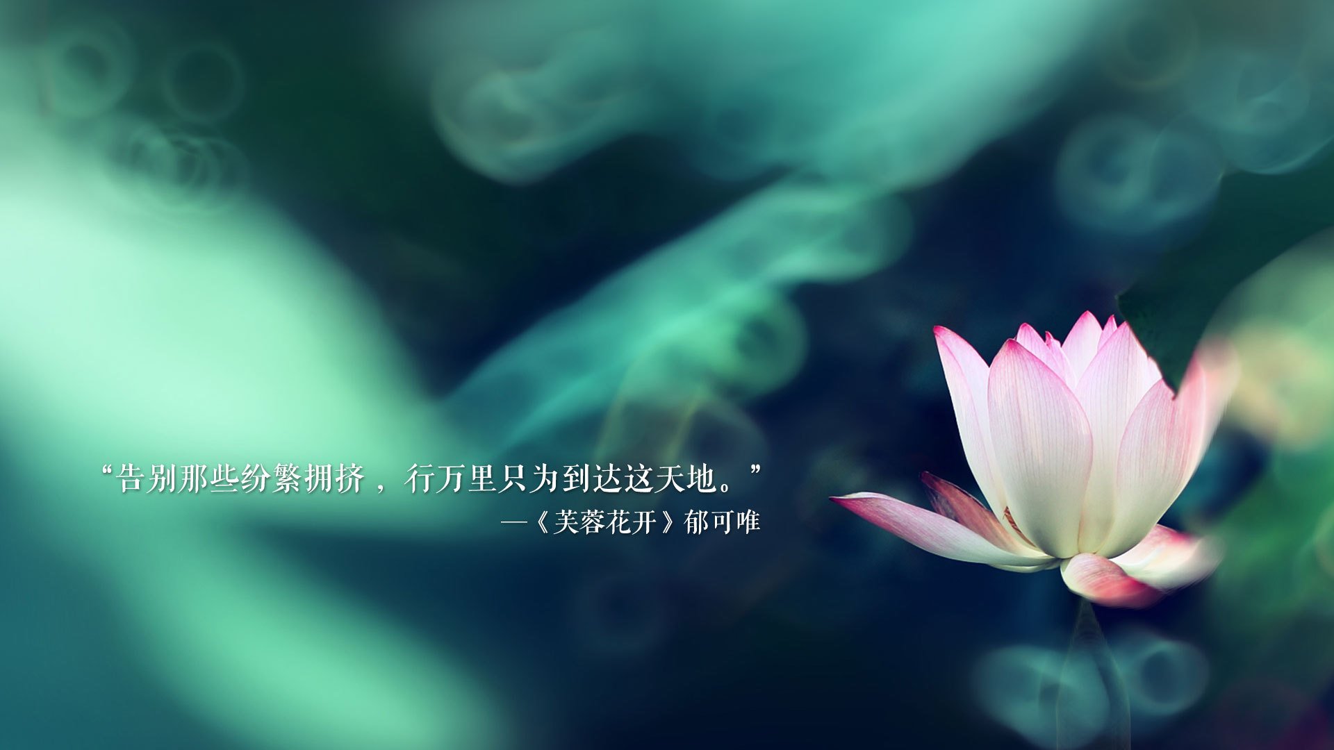 开云网站-最激烈的终点冲刺回顾，终点冲刺跑的临近终点的一段