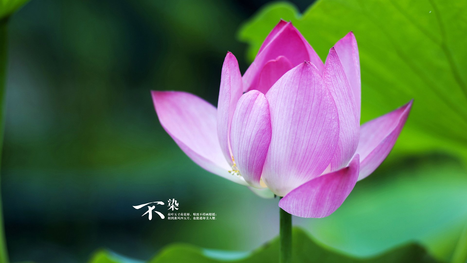 kaiyun体育综合-精彩瞬间盘点：本周最震撼的比赛瞬间，比赛的精彩瞬间的句子