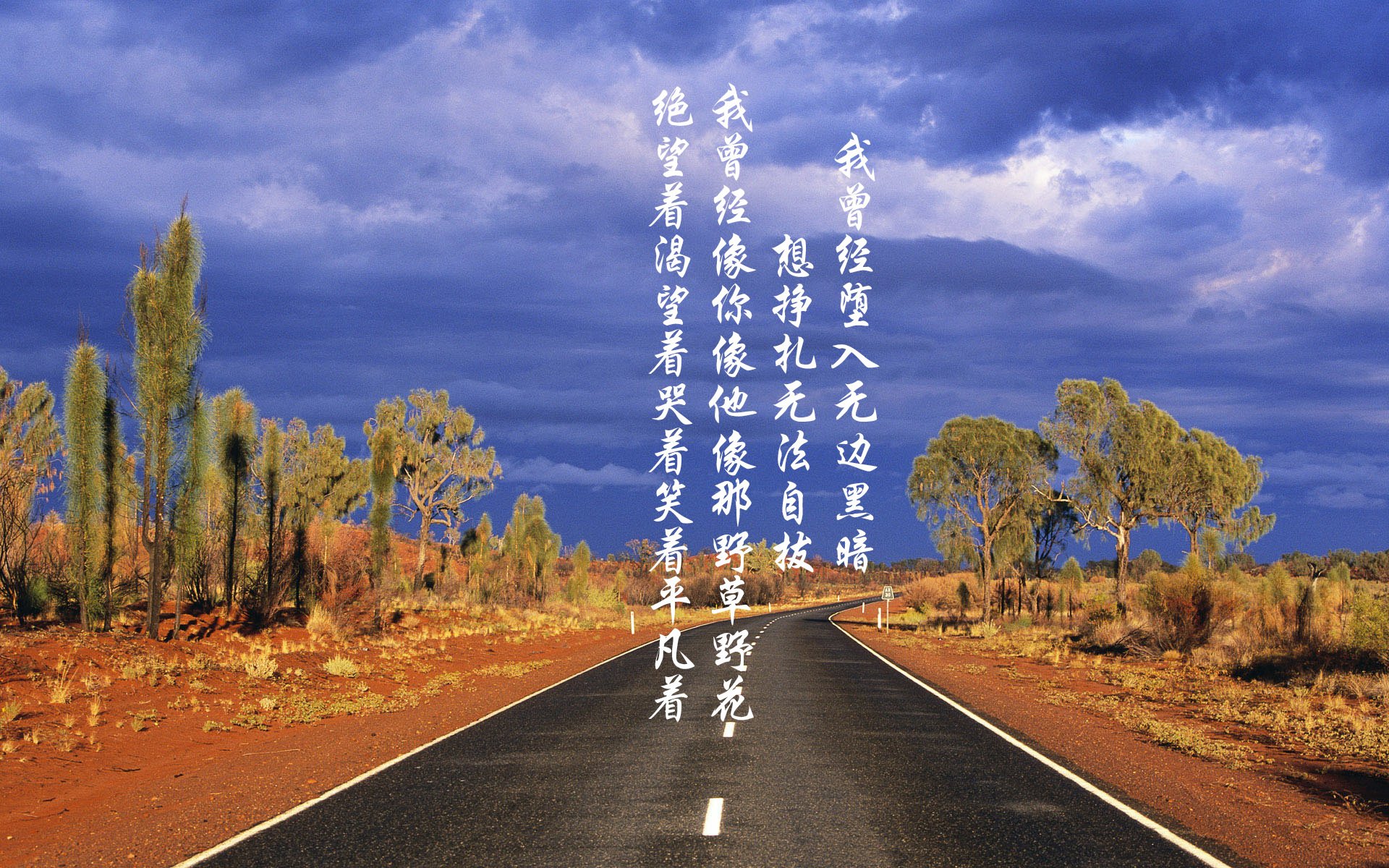 精彩瞬间视频回放，遗憾与喜悦并存！，精彩瞬间模板