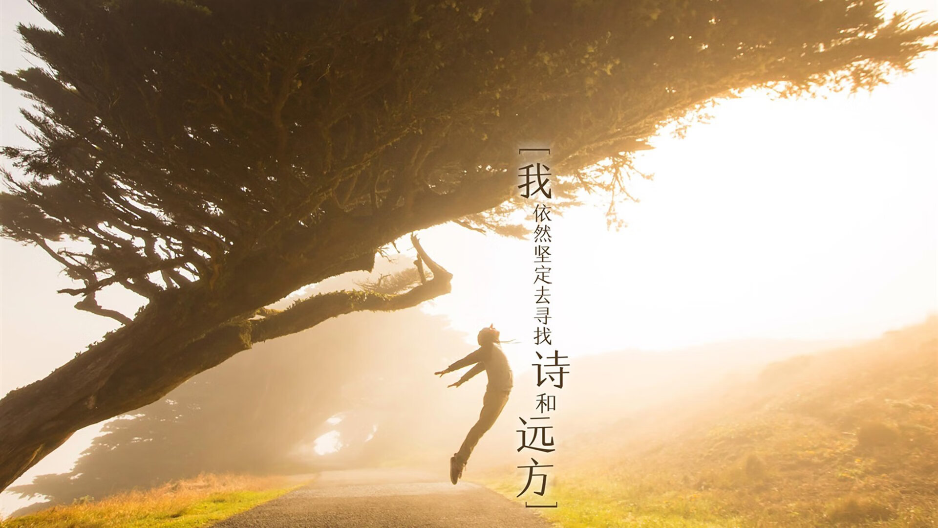 kaiyun 开云体育-英格兰战术体系赢得国际肯定，英格兰技术流