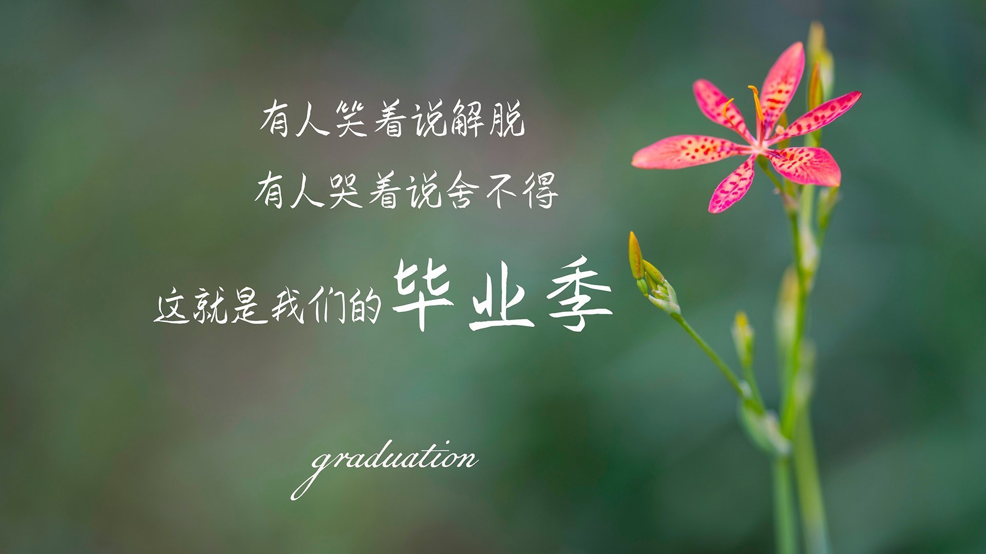 马赛球员德佩因表现出色被球迷称赞，德比马赛