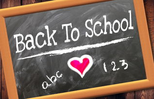 开云网页版登录入口-中小学体育教师教学能力提升机制，中小学体育教师教学能力提升机制研究