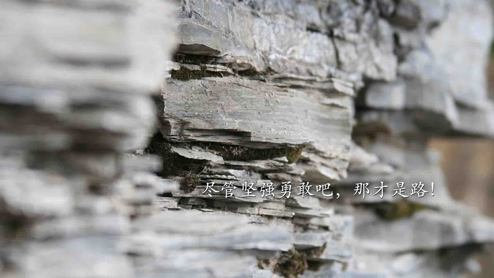 世界乒乓锦标赛：精彩对决引爆赛场，世界乒乓球锦标赛2021年