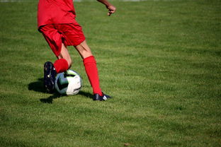 开云下载-足球场馆数字化管理平台正式上线，提升运营效率，足球场管理系统app