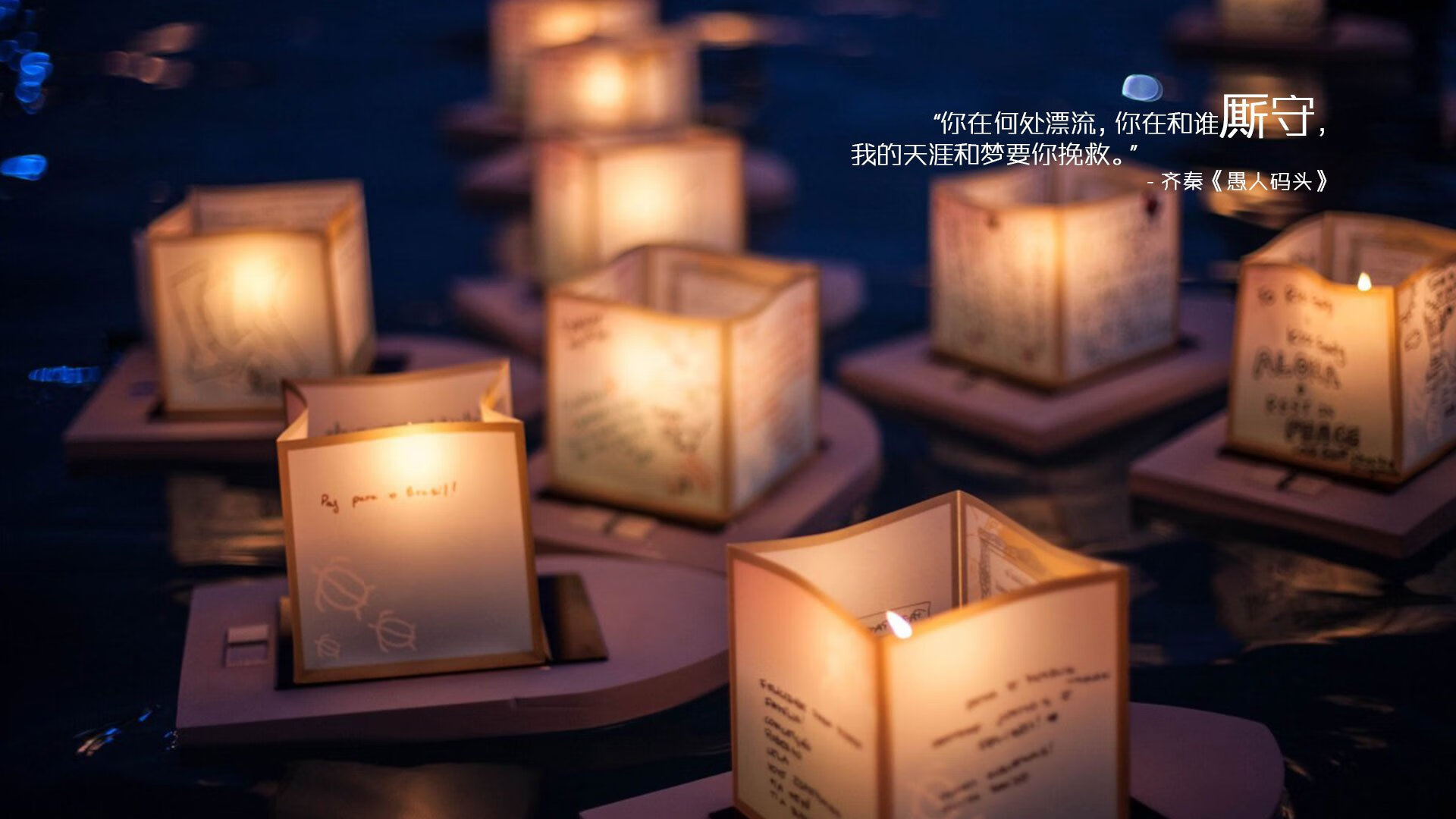 跳水女将荷兰表现持续提升，荷兰女子跳高运动员