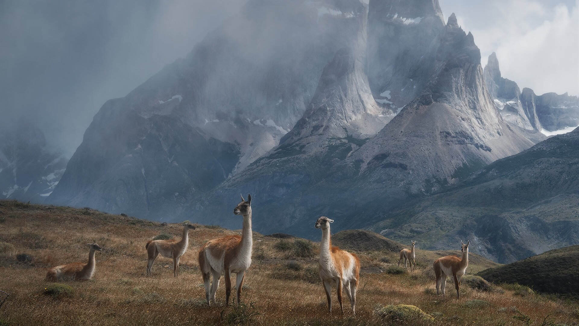 开云官方-达米恩·麦肯齐：全黑队背后位置的“游戏改变者”，从不缺少精彩表现